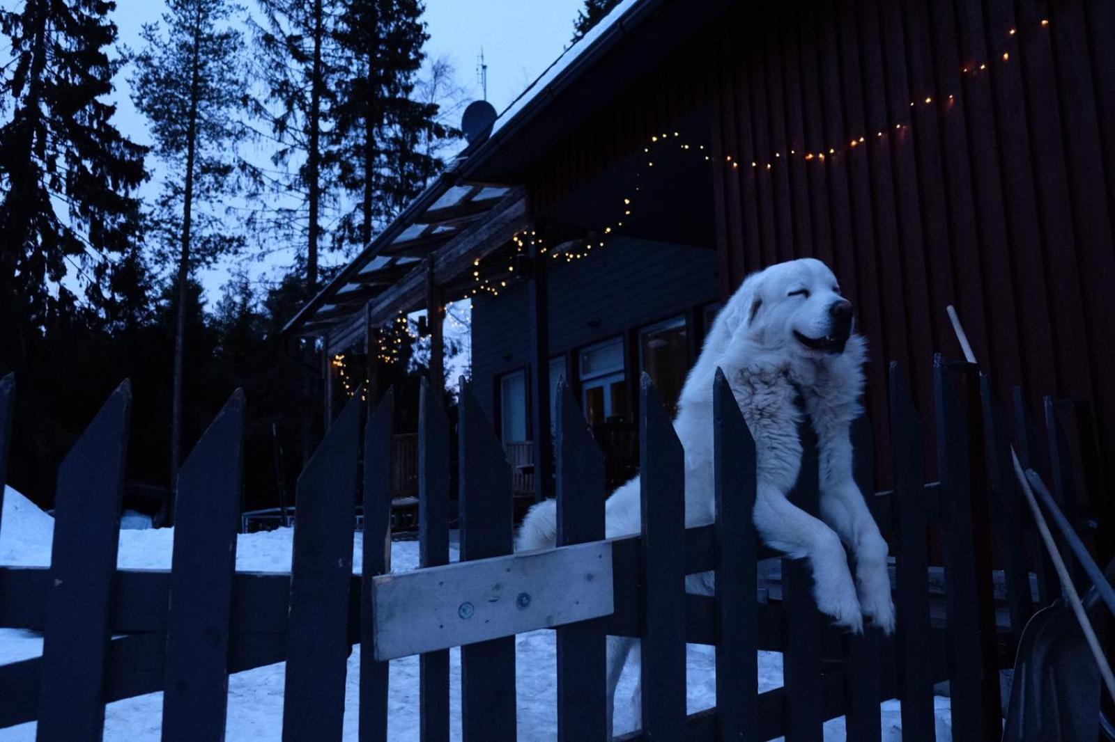 Laplandbike Apartment Arctic Circle Rovaniemi Extérieur photo